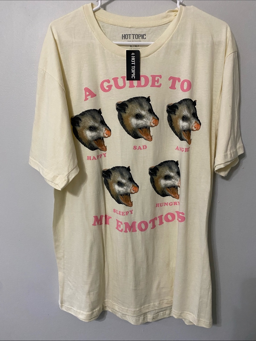🌞 4/$20 Hot Topic Cream Tee with Pink Graphic Opossum Design XL GENDER NEUTRAL